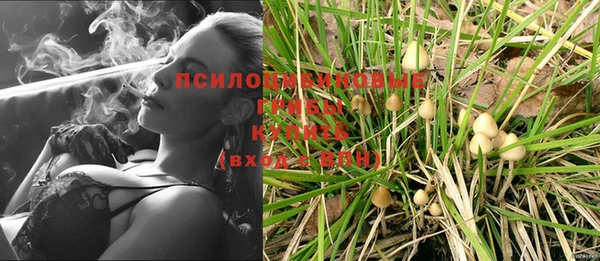 стафф Белоозёрский