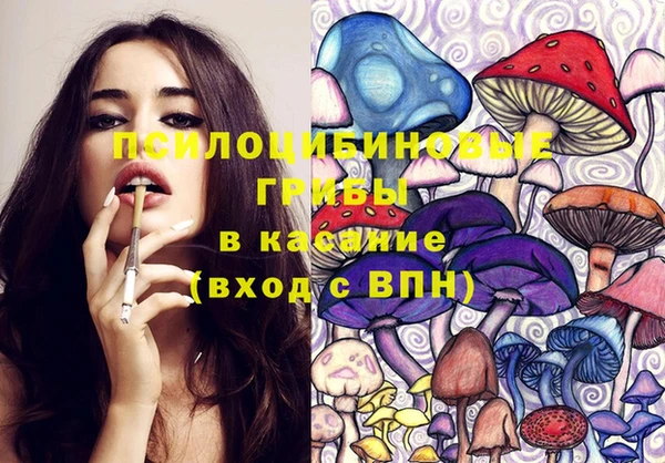 первитин Богданович