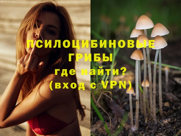 МДМА Белокуриха