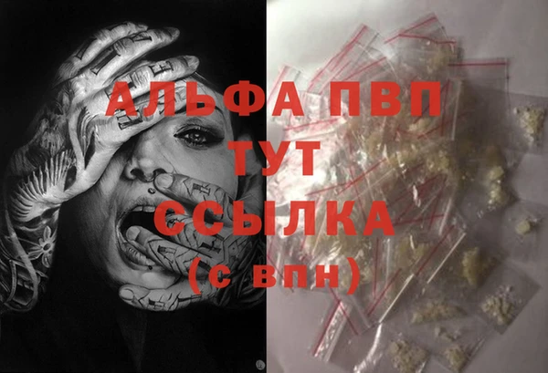 первитин Богданович